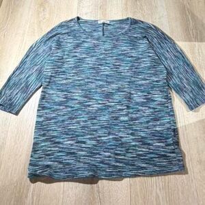 Dressbarn Women's multi Blouse